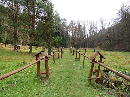 Łąka otaczająca Ośrodek Edukacji Ekologicznej na Polichtach. Łąka otaczająca Ośrodek Edukacji Ekologicznej na Polichtach.