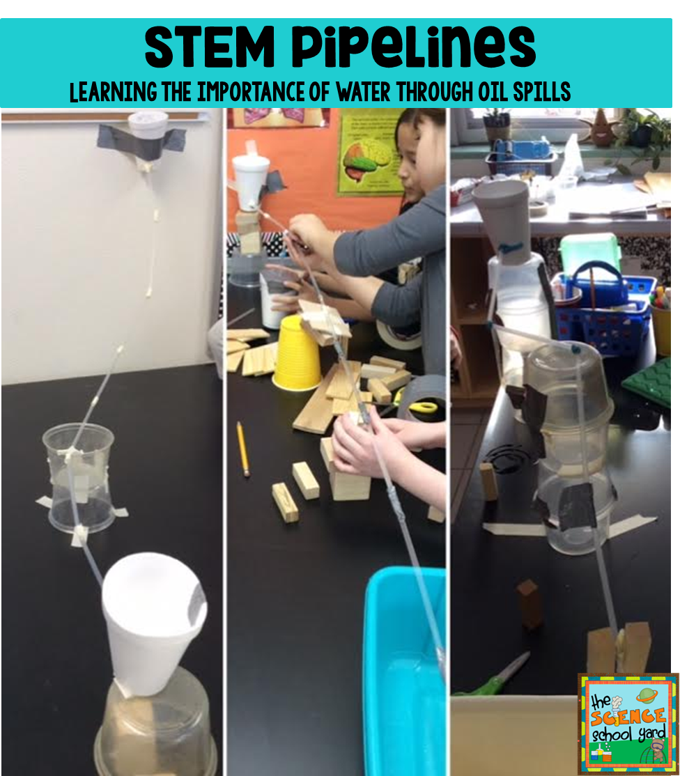 Science School Yard Year In Review The Science School Yard