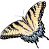 Free PNG download: butterfly (005)