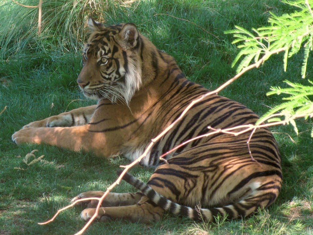 Life on the Open Road: Phoenix Zoo