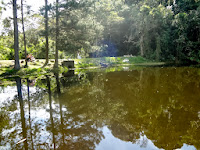 Parque Estadual da Cantareira em São Paulo