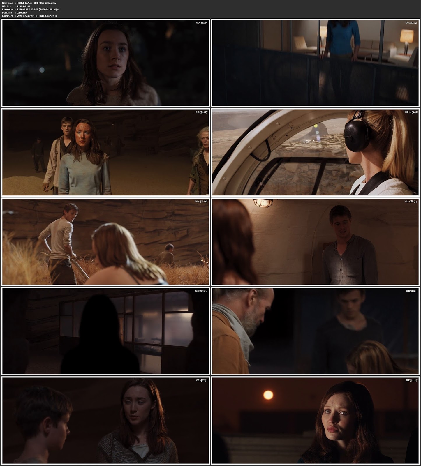 The Host 2013 Hindi Dual Audio 480p BluRay Esubs 400MB Download