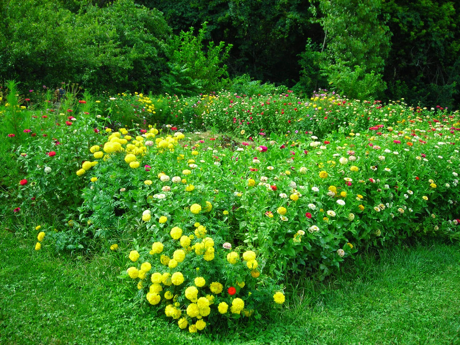 Books from the HeartLand: Why I Plant Flower Borders Around My