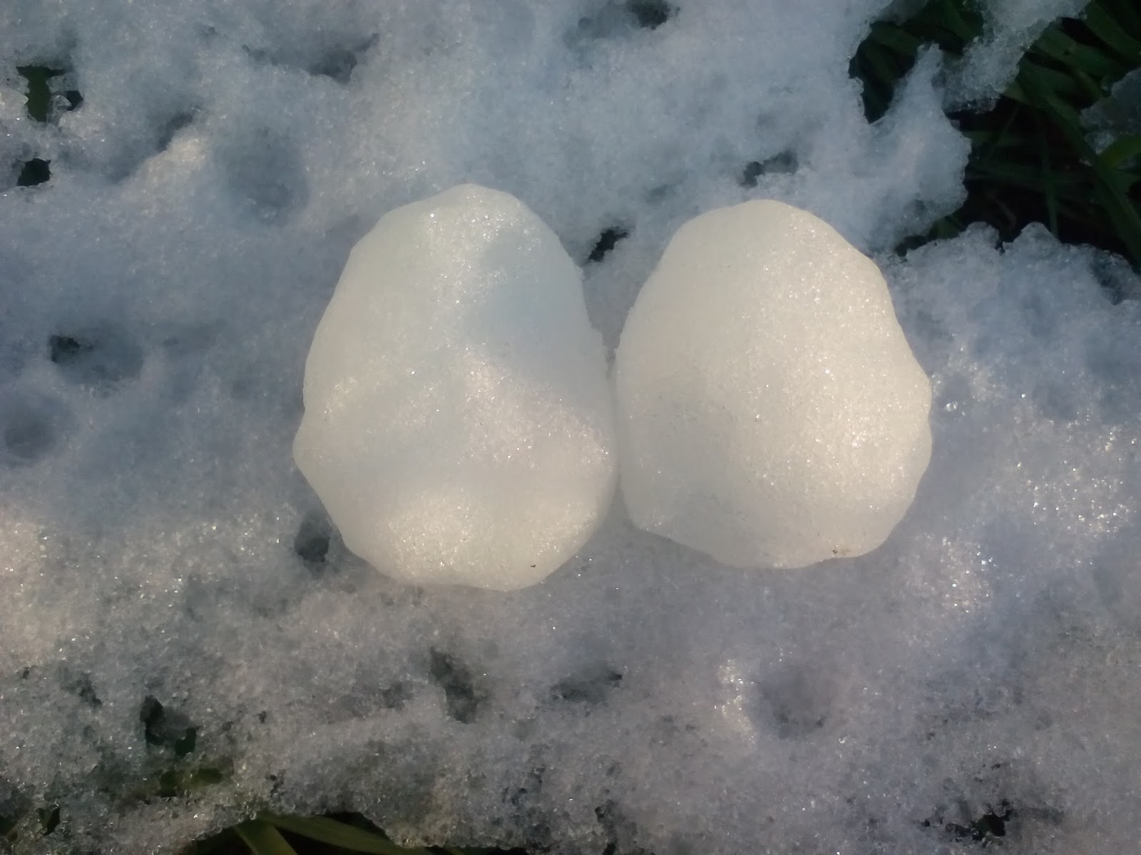 Gundhramns Hammer GERMANY UNFREEZING FROZEN BALLS WITH TOXIC WOOD