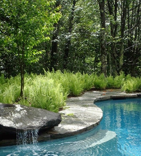 A relaxing garden and backyard waterfalls