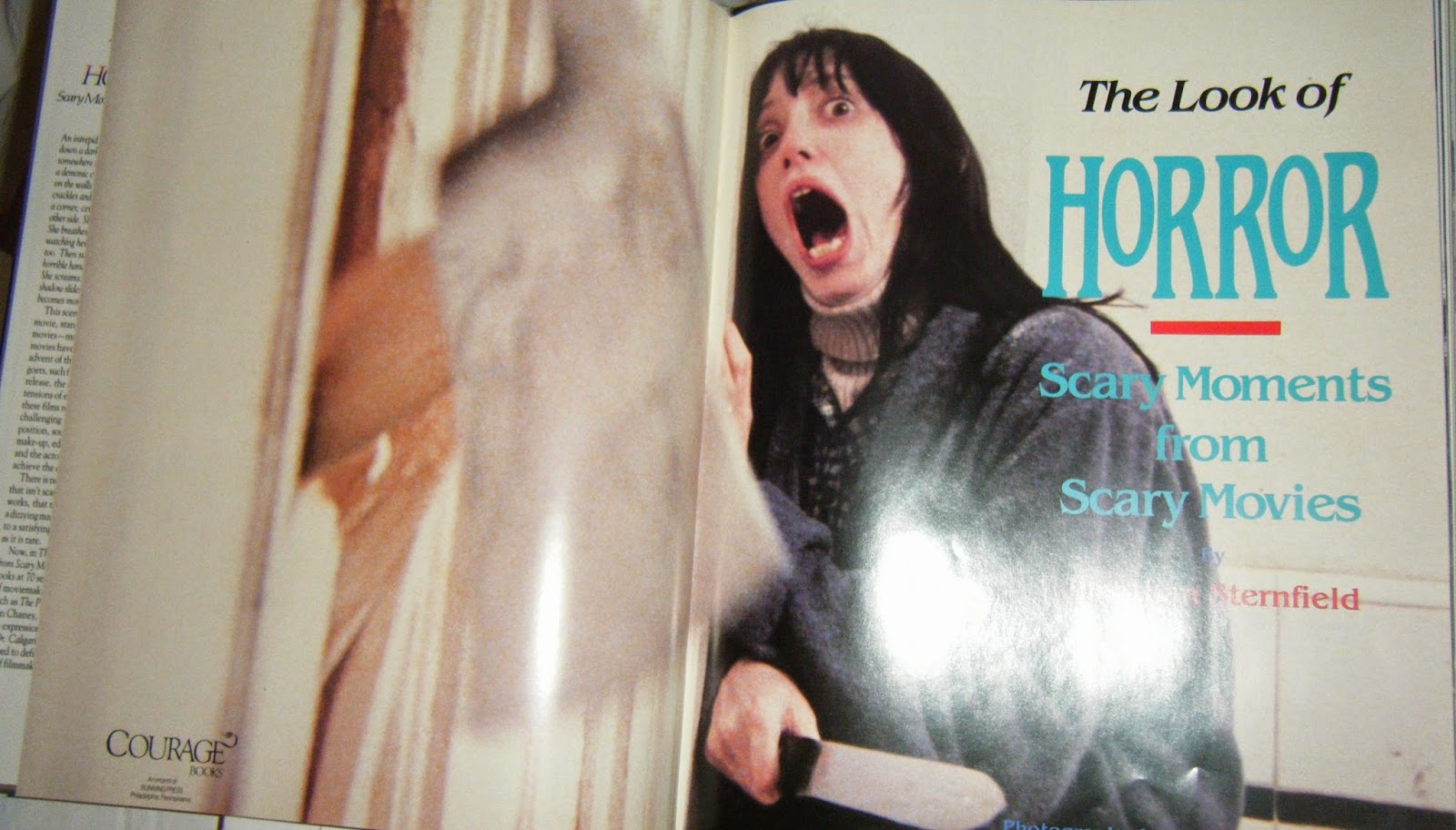 Vanessa the Video Vixen: Bookworm Wednesday - The Look of Horror (1990)