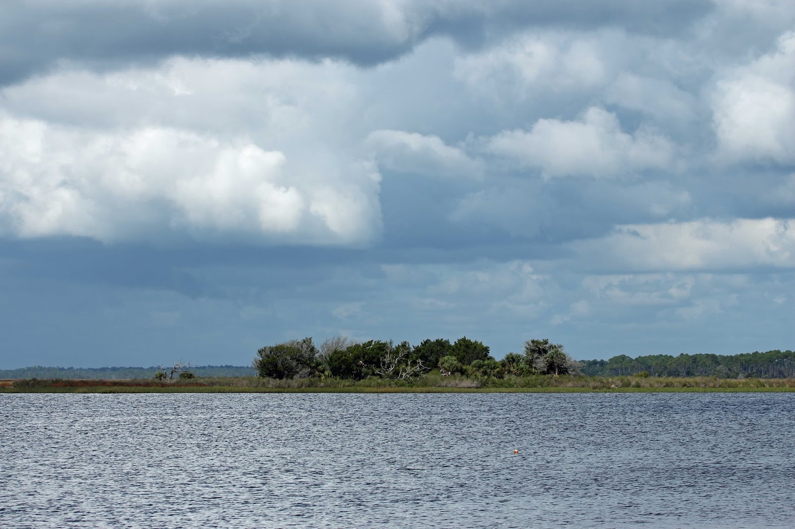 Horseshoe Beach Fl >> On The Meandering Road November 5 2015 Horseshoe Beach Fl Horseshoe Beach Fl >> On The Meandering Road November 5 2015 Horseshoe Beach Fl