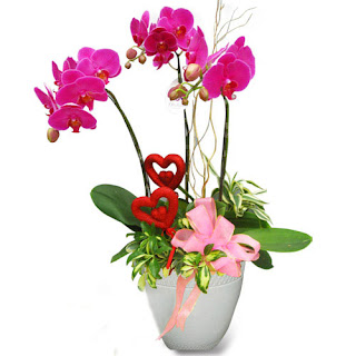 hoa chúc mừng 4