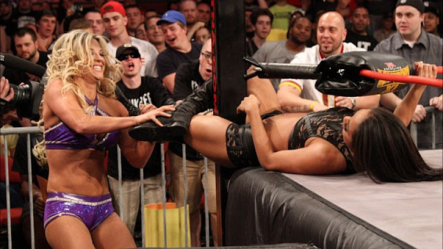 Top 10 TNA Knockouts Matches 2015