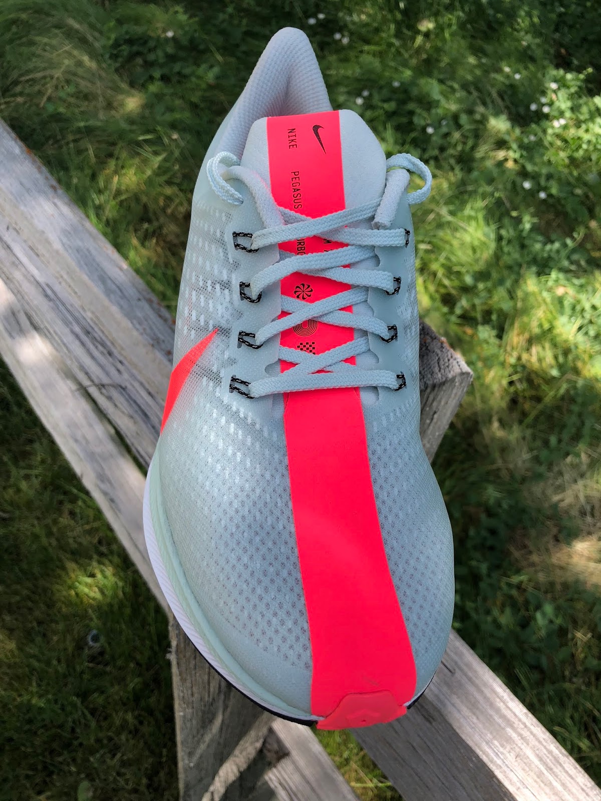 zoom pegasus 35 turbo price