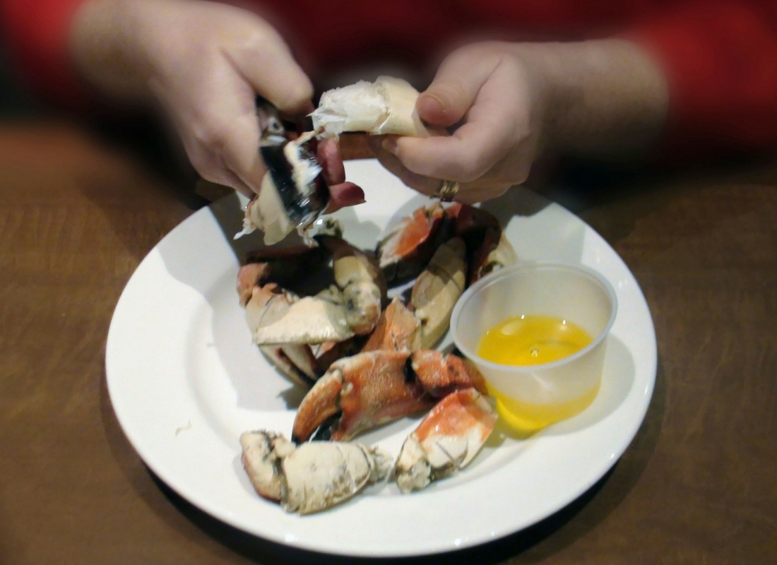 Where to Buy Crab Claw Meat Live Fresh Mud Crabs, Mud Crab Farming In