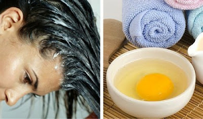 Shampoing à l'oeuf pour sceller les pointes fourchues Shampoing à l'oeuf pour sceller les pointes fourchues