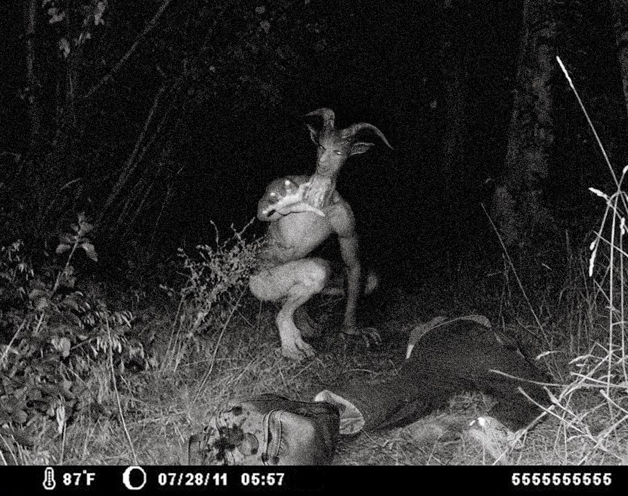 Image result for the goatman of maryland