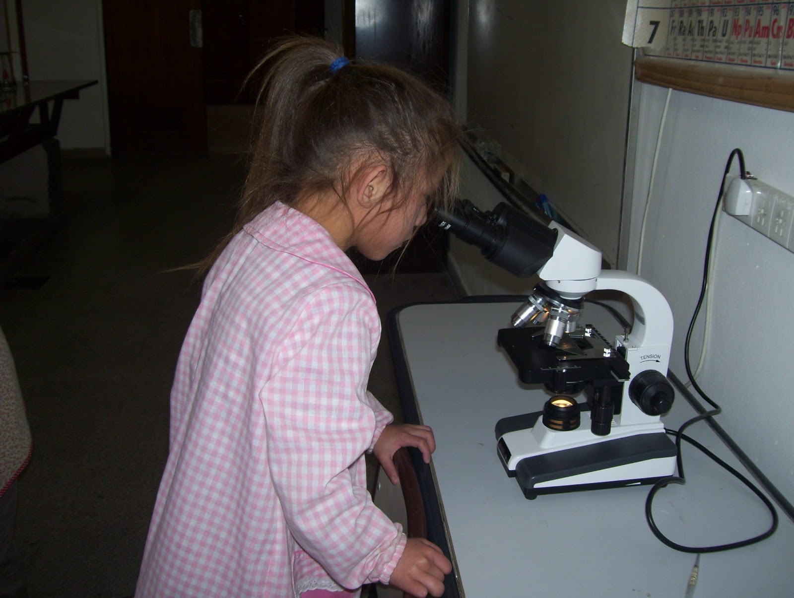Laboratoriodeciencias26: Nos visitó el jardín!