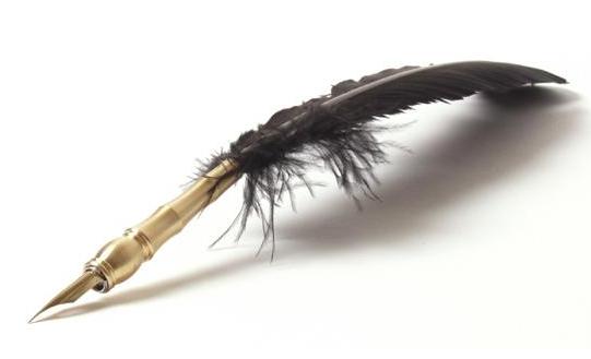 quill pen with black feather