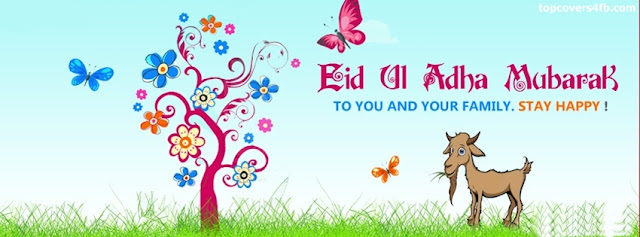 EID UL ADHA 2016 EID UL ADHA 2016