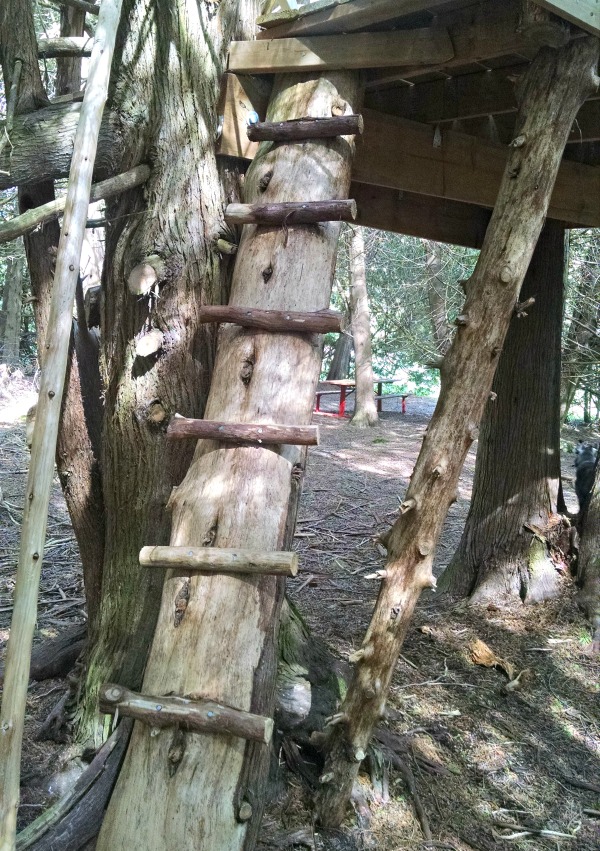 Essential Tips How to Build a Treehouse your Kids will Love for Years