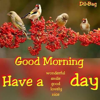 Morning Shayari Morning Shayari