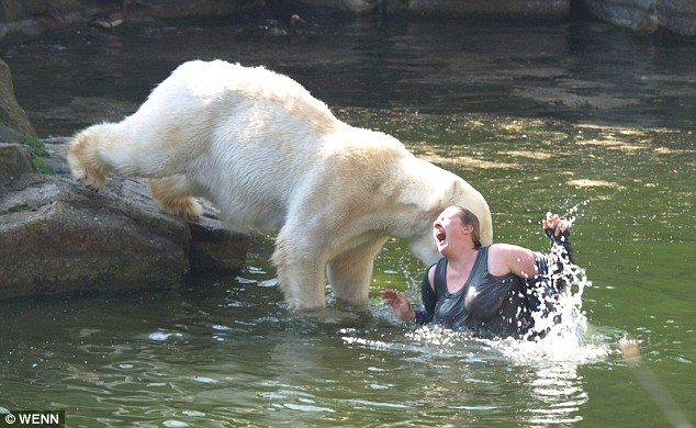 Pictured: Shocking moment polar bear attacks woman who climbed into zoo enclosure 