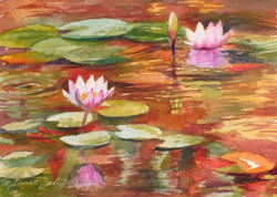 water pond lily lilies watercolor painting paintings dole fine oil ponds pink flower watercolors garden lotus print tropical watercolour planation