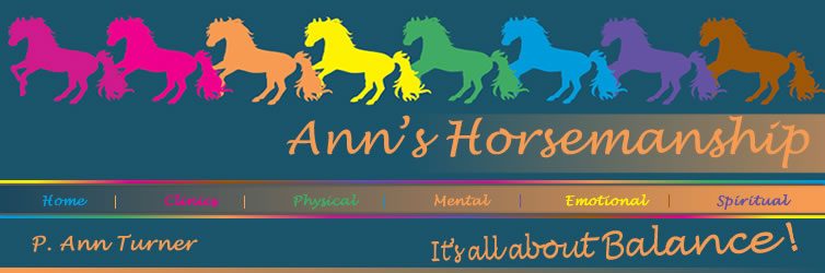 Ann's Horsemanship Blog