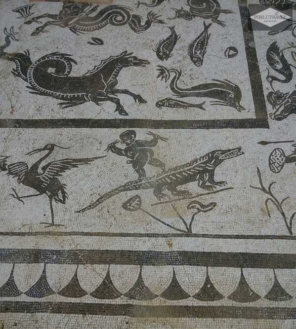 mosaicos itálica santiponce neptuno