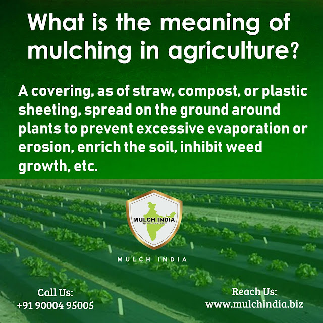 MulchIndia What is the meaning of mulching in agriculture? Mulch