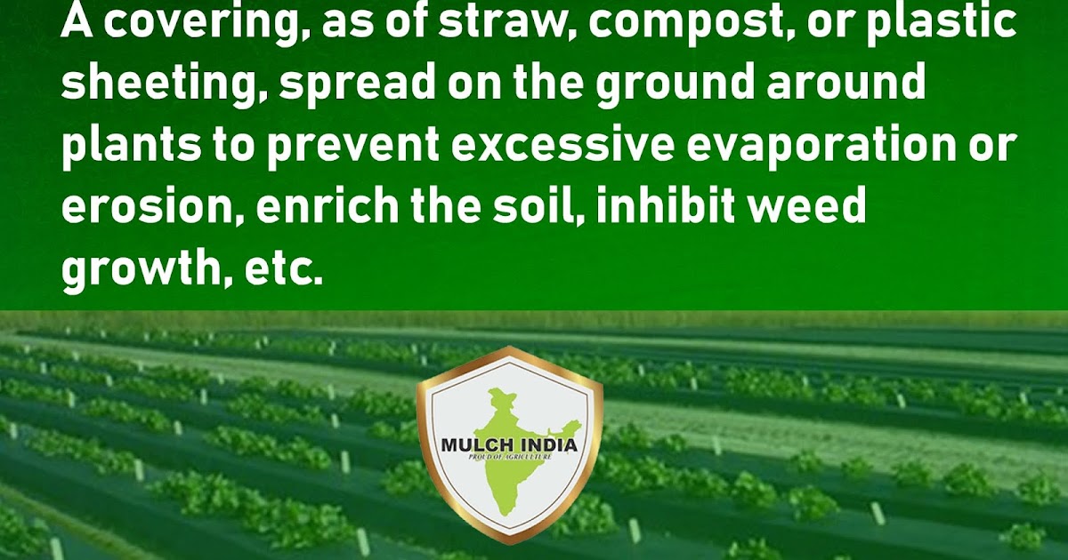 MulchIndia What is the meaning of mulching in agriculture? Mulch