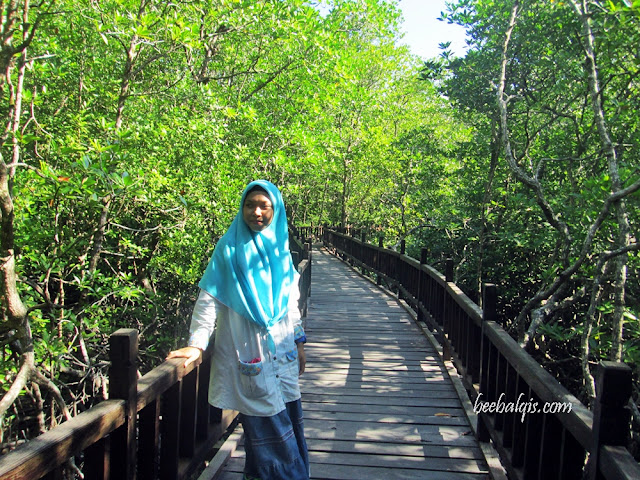 Taman Wisata Mangrove Sukadana