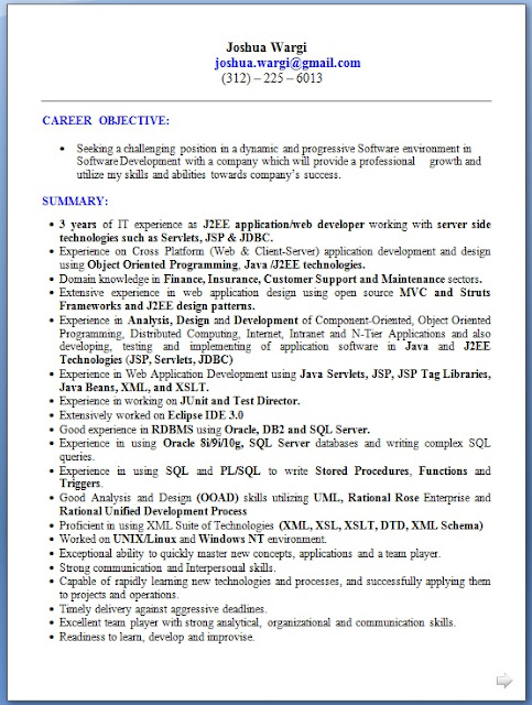 best software engineer curriculum vitae format in word free cv software