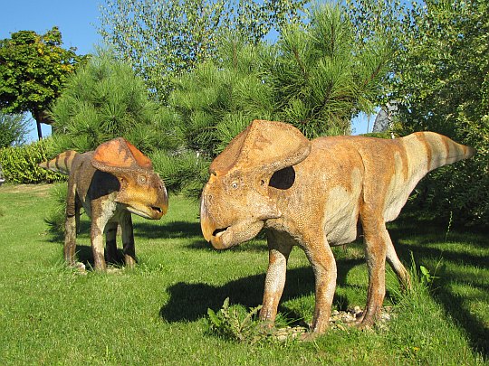 Protoceratops (Protoceratops)
