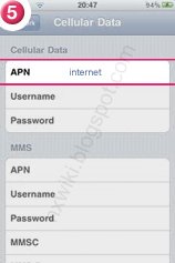 Delight Mobile APN Settings for iPhone