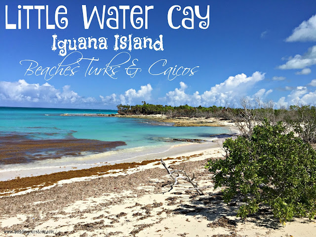 Social Media On The Sand 2016, Beaches Resorts, Negril Beaches, Beaches Negril Jamaica, Negril Jamaica vacation, resorts in Negril, Beaches Negril Resort and Spa, Beautiful Boat Ride to Little Water Cay - Turks & Caicos, iguana island, day trip to little water cay, Little water cay, turks and caicos, Beaches Turks & Caicos, Beaches Resorts, Turks and Caicos Islands, vacation to Turks and Caicos, Visit Iguana Island