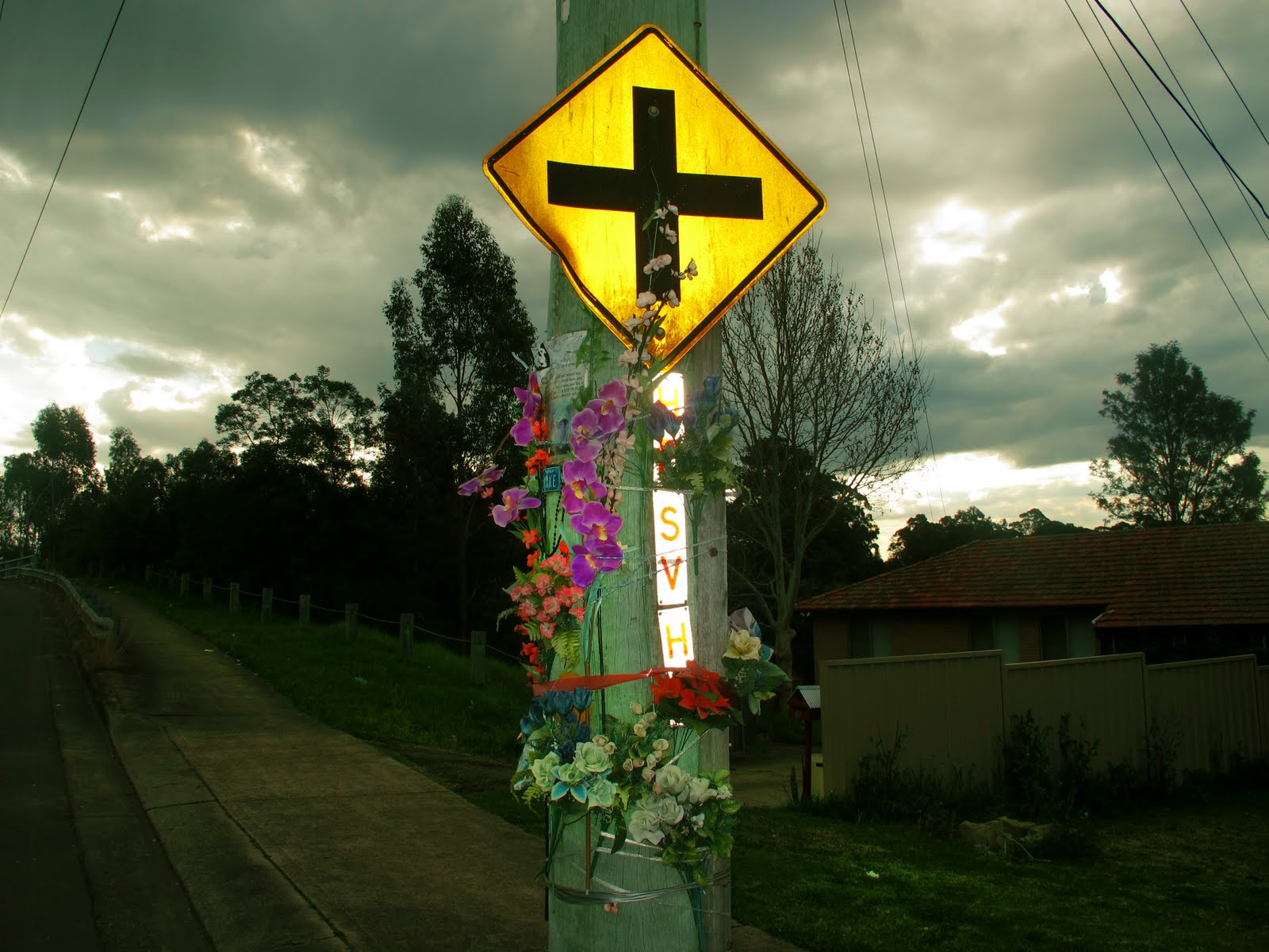 WEST END GURLS BONSAI SHOP, GUILDFORD