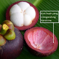 Penyebab, Akibat dan Pengobatan Benjolan Di Leher Penyebab, Akibat dan Pengobatan Benjolan Di Leher