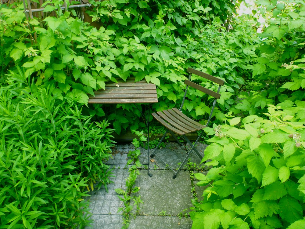 Ein Holztisch und -stuhl steht inmitten quietschgrünen Blattwerks