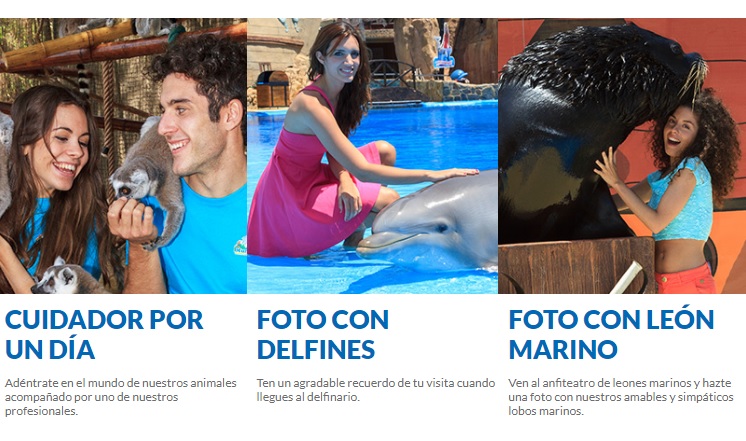 Experiencias con animales en Mundomar