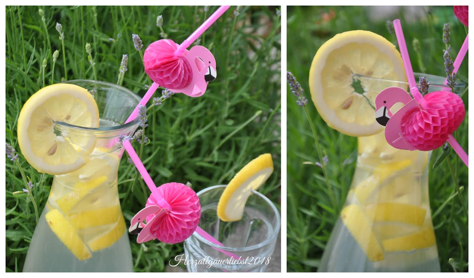 Herzallgäuerliebst: Ingwer-Zitronen-Limonade | Pure Summer!