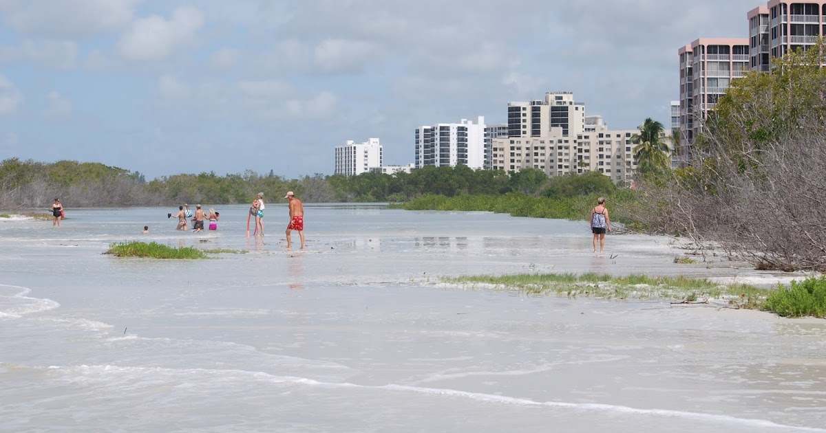 På fugletur og om naturen Little Estero Lagoon, Fort Myers Beach