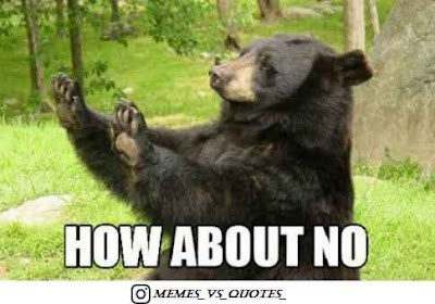 No Meme About No