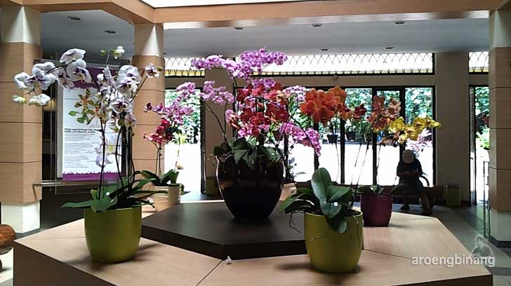 rumah anggrek kebun raya bogor