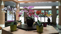 rumah anggrek kebun raya bogor