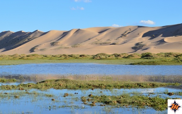 Deserto del Gobi. Seruun Bulag Deserto del Gobi. Seruun Bulag