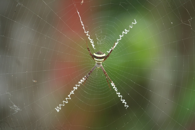 9 Ways to Connect with Nature