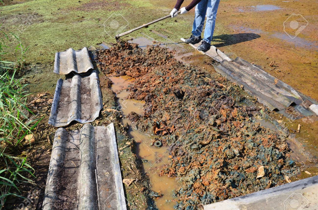 la contaminacion del suelo la contaminación del suelo la contaminacion del suelo la contaminación del suelo
