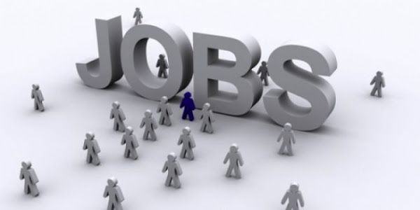 840 locuri de muncă vacante în Spaţiul Economic European 