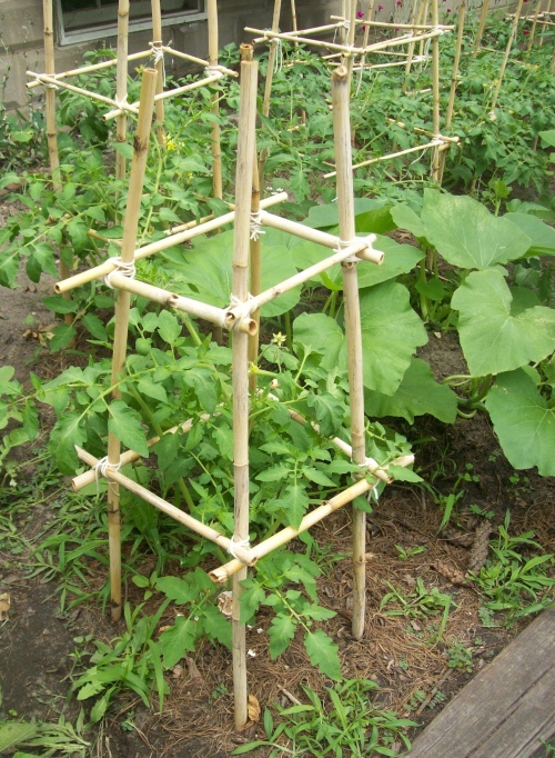 Bamboo Grove Photo Bamboo Garden Stakes