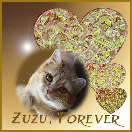 Zuzu Forever