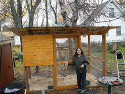 6ft tall chicken coop