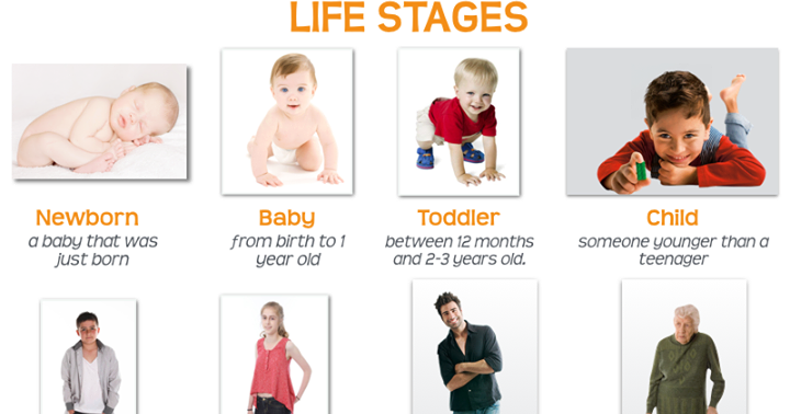 Life in months. Stages of Life. Stages of Life in English. Different Stages of Life. Дети по возрастам на английском.